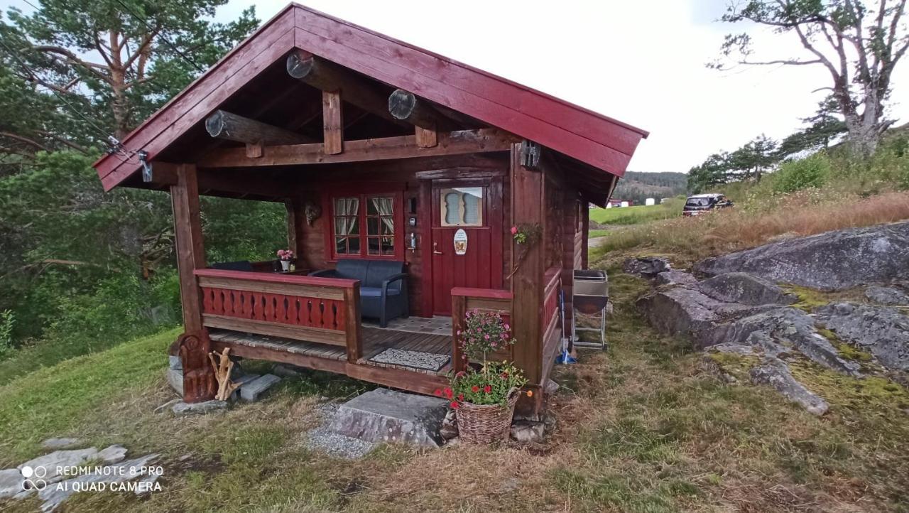 Suigard Smia Villa Sauland Kültér fotó